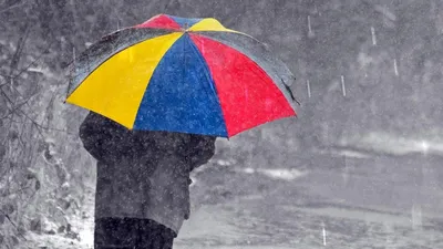 человек, зонтик, снегопад, ливень, фото - Новости Zakon.kz от 13.04.2026 11:49