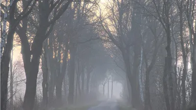 штормовое предупреждение, фото - Новости Zakon.kz от 13.04.2026 20:02