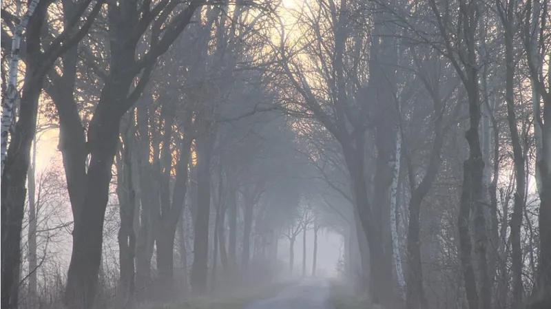 Туман, грозы и шквальный ветер накроют Казахстан во вторник