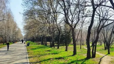 Парк в Алматы , фото - Новости Zakon.kz от 14.04.2026 14:50