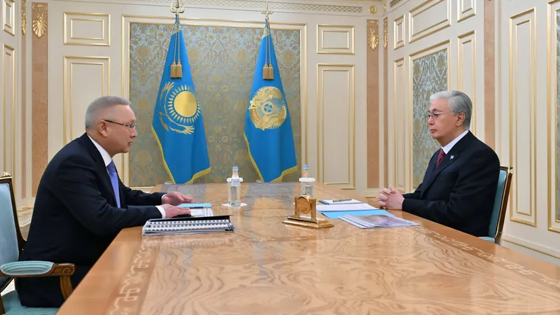 Усилить работу Хоргоса и Достыка на границе с Китаем поручил Токаев