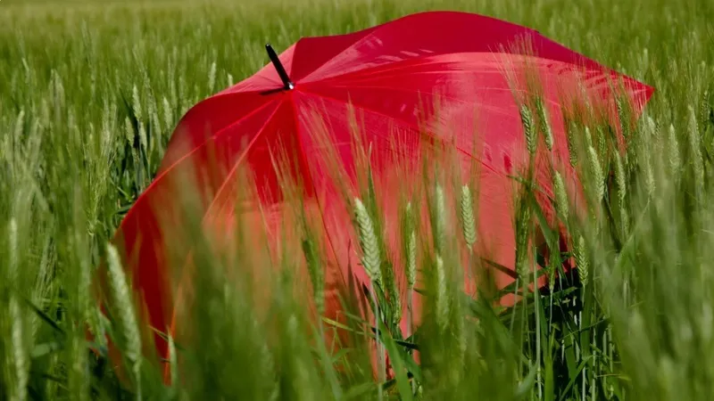 Какие регионы Казахстана затронет штормовое предупреждение в четверг