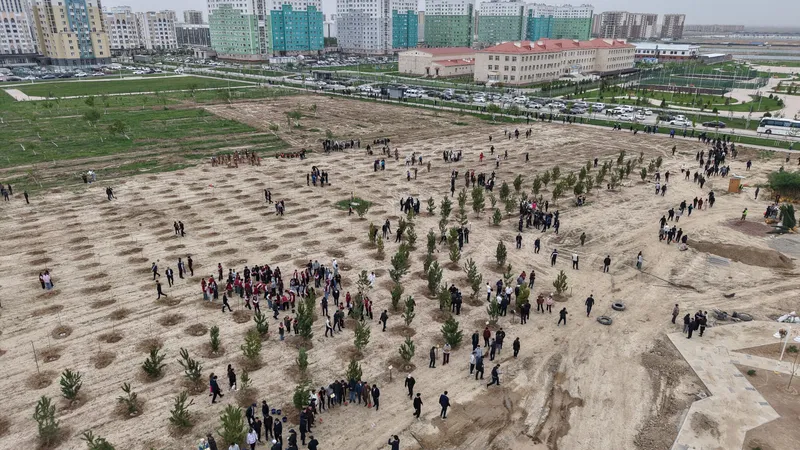 "Таза Қазақстан": во время масштабной экоакции в Туркестане высадили более 2 тысяч деревьев