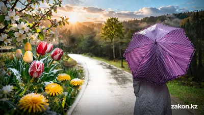 каким будет май в Казахстане, фото - Новости Zakon.kz от 15.04.2026 11:36