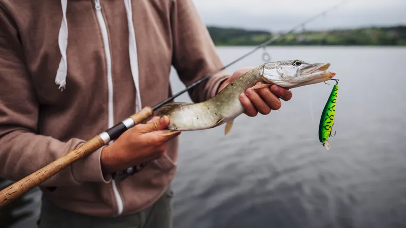 Или, Капшагай и пруды: куда поехать на рыбалку в Алматинской области весной
