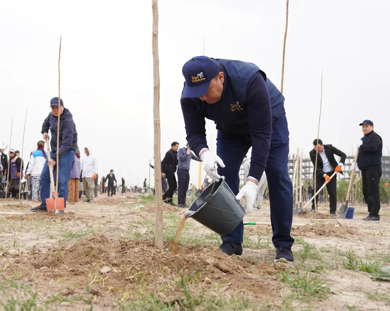высадка деревьев в Туркестане, фото - Новости Zakon.kz от 15.04.2026 11:47