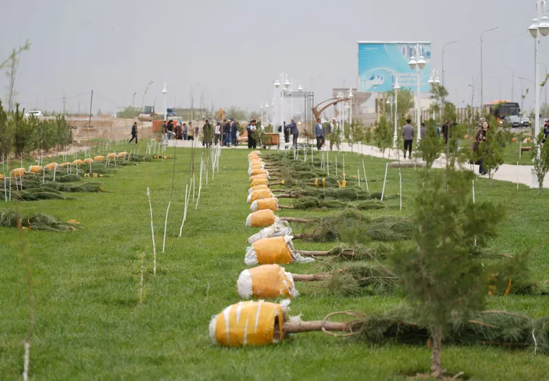высадка деревьев в Туркестане, фото - Новости Zakon.kz от 15.04.2026 11:47