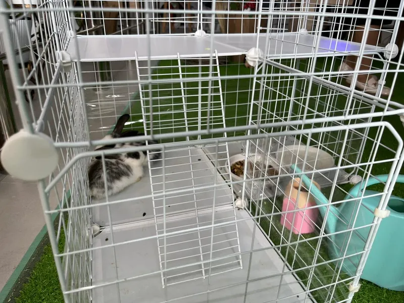 живой уголок в школе, фото - Новости Zakon.kz от 15.04.2026 16:24