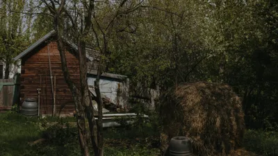 Двоих мертвых школьников нашли в сарае на юге Казахстана – расследуют суицид