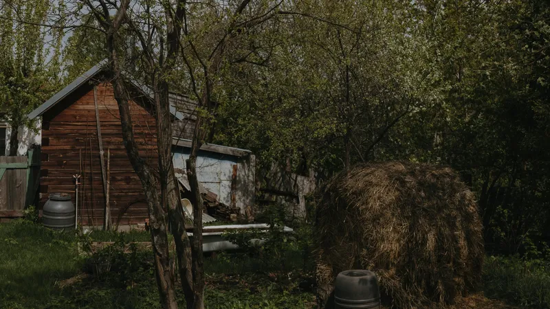 Двоих мертвых школьников нашли в сарае на юге Казахстана – расследуют суицид