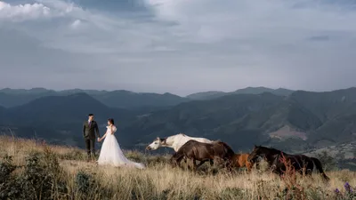 молодожены, лошади, предгорья, фото - Новости Zakon.kz от 15.04.2026 13:41