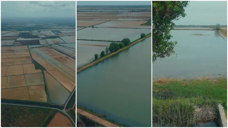 Сотни миллионов кубометров воды подано на юг Казахстана: названа причина