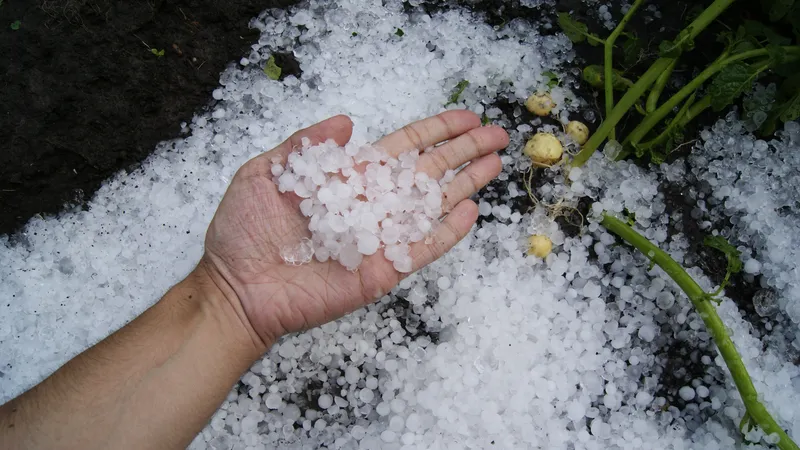 На Алматы обрушатся снегопады, ливни и град – штормовое предупреждение