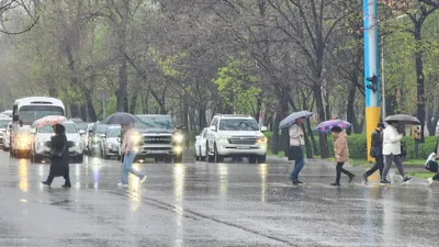 В Алматы дождь, а в Караганде снег: капризы апрельской весны обсуждает Казнет, фото - Новости Zakon.kz от 16.04.2026 14:56