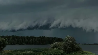 тучи, деревья, погода, фото - Новости Zakon.kz от 16.04.2026 16:57