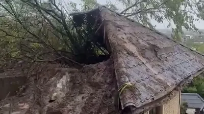 Оползень в Алматы, видео, дом, дерево, крыша, ЧП, фото - Новости Zakon.kz от 16.04.2026 21:50