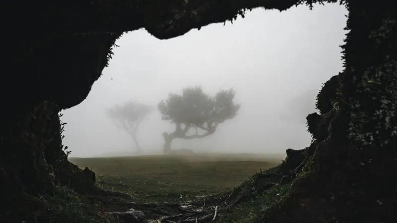 В Китае ученые обнаружили гигантский лес на глубине 200 метров под землей