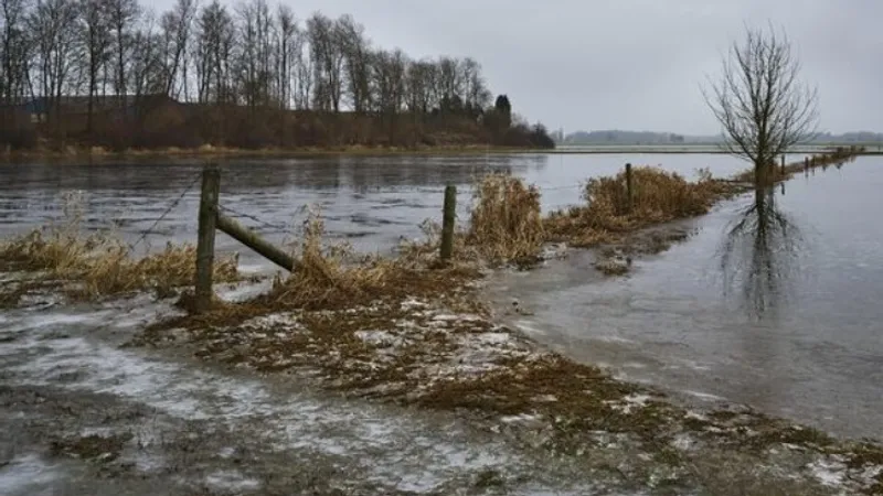 Обрушение берега реки Келес угрожает домам и школе в Туркестанской области