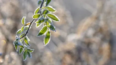 штормовое предупреждение, фото - Новости Zakon.kz от 17.04.2026 20:15