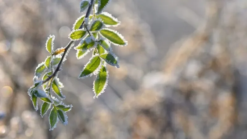 15 регионов Казахстана под ударом стихии: погода резко ухудшается
