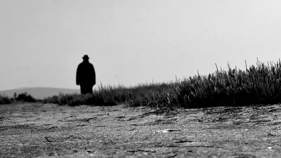 Над могилой только колышек: где искать усопшего родственника, если его похоронили как безродного