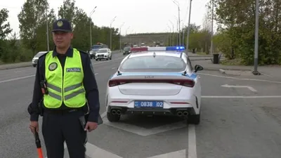 экологические рейды в Алматы, фото - Новости Zakon.kz от 17.04.2026 15:40