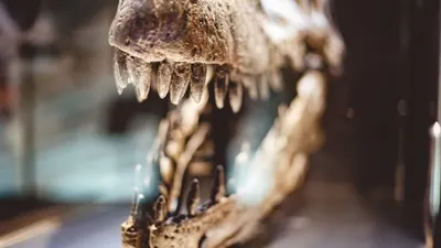 исследование, фото - Новости Zakon.kz от 19.04.2026 01:23