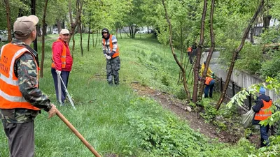субботник, фото - Новости Zakon.kz от 18.04.2026 14:20