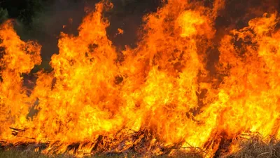 пожар на острове в Финляндии, фото - Новости Zakon.kz от 19.04.2026 21:01