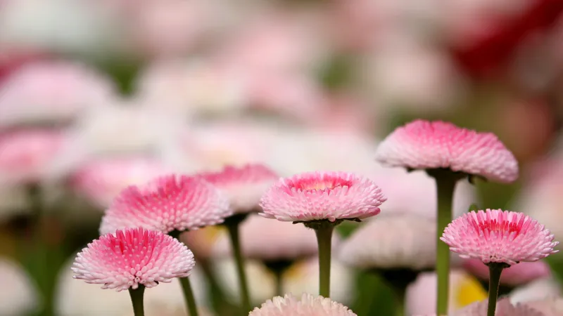 Энергия, хаос и шансы: что ждет знаки зодиака в воскресенье