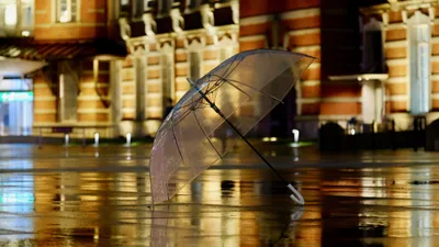 зонтик, лужи, фото - Новости Zakon.kz от 20.04.2026 12:02