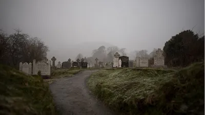 Могилы, природа, фото - Новости Zakon.kz от 20.04.2026 07:59