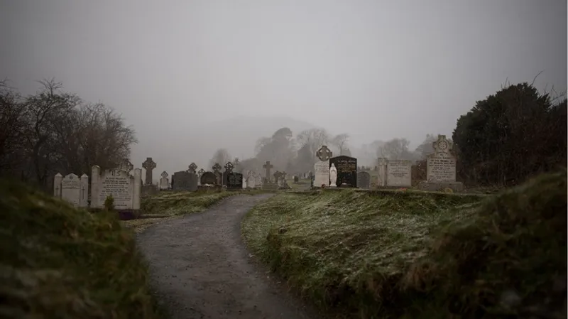 Под кладбищем Нью-Йорка нашли 5,6 миллиона живых существ