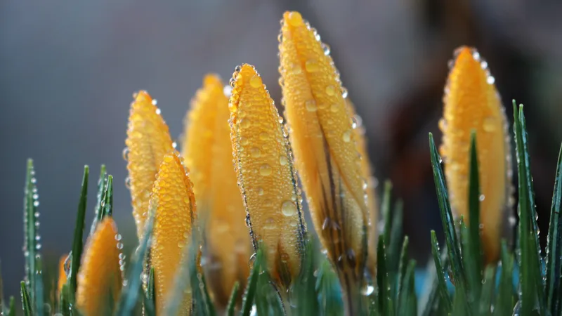 Синоптики предупредили о погоде в Казахстане на 21 апреля