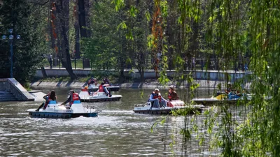 Парк культуры и отдыха им. М. Горького, Центральный парк культуры и отдыха города Алматы, ЦПКиО им. Горького, ЦПКиО, парк в Алматы, фото - Новости Zakon.kz от 21.04.2026 17:49