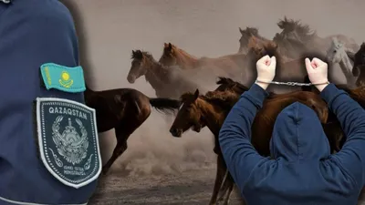 Фермер лишился скота на десятки миллионов тенге, фото - Новости Zakon.kz от 21.04.2026 21:20