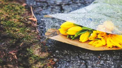 штормовое предупреждение, фото - Новости Zakon.kz от 21.04.2026 20:01