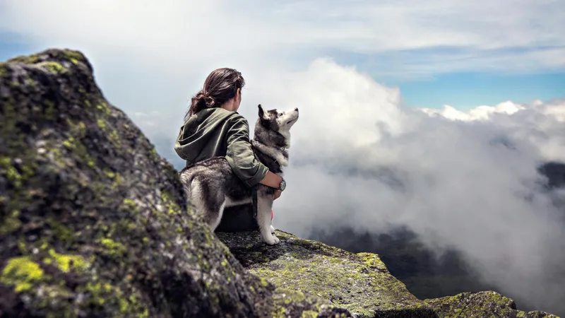 Известны знаки зодиака, чьи дела резко пойдут в гору совсем скоро