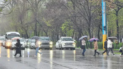 дождь в Алматы, фото - Новости Zakon.kz от 23.04.2026 14:35