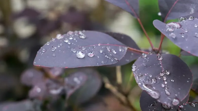 Казахстан накрывает волна непогоды: где ждать заморозки, снег, дождь и шквалы