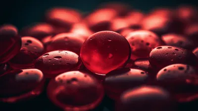 Холестерин, организм, фото - Новости Zakon.kz от 24.04.2026 06:59