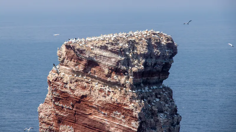 Ученые спустя 127 лет постигли тайну гроба, "упавшего с неба"