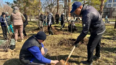 Таза Казахстан, субботник, уборка, фото - Новости Zakon.kz от 23.04.2026 12:13