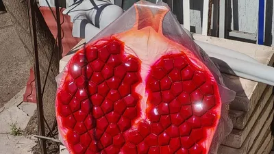 Фрукты, гранат, арт-мастерская, художник, Шымкент, Артём Фодчук, ягоды, фрукты, искусство , фото - Новости Zakon.kz от 27.04.2026 12:04