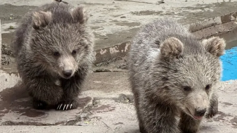 Зоопарк Алматы сообщил радостную новость