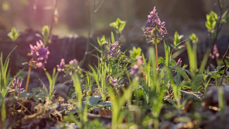 Похолодание и потепление одновременно: казахстанцев предупредили о погодных причудах 25-27 апреля
