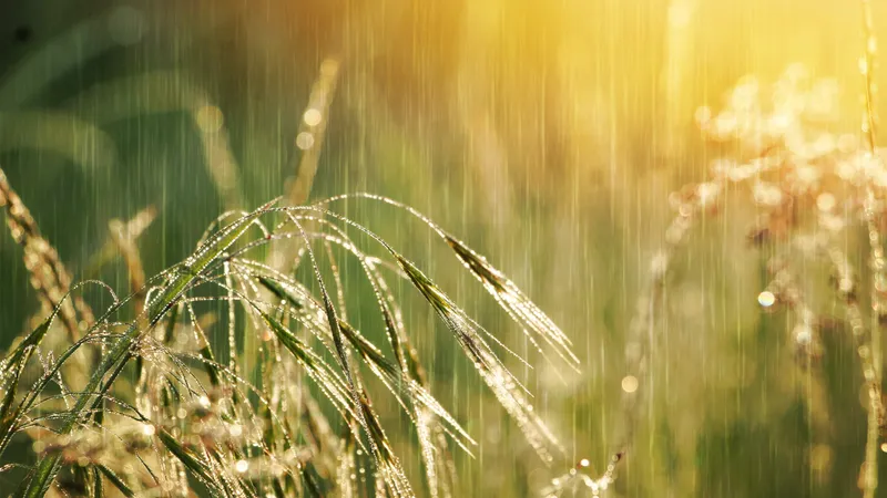 Жара до +30°С и дожди с грозами нагрянут в Астану, Алматы, Шымкент – прогноз на 25-27 апреля