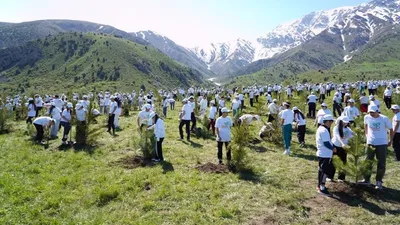 люди, фото - Новости Zakon.kz от 25.04.2026 17:47