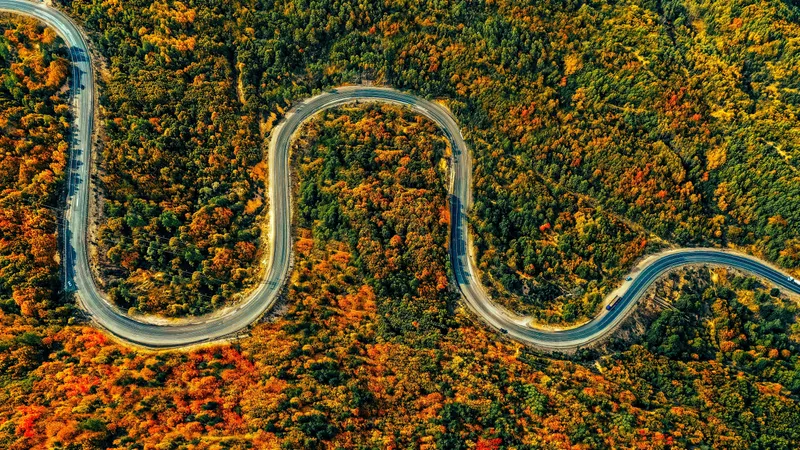 День решений и сюрпризов: гороскоп на субботу для всех знаков зодиака