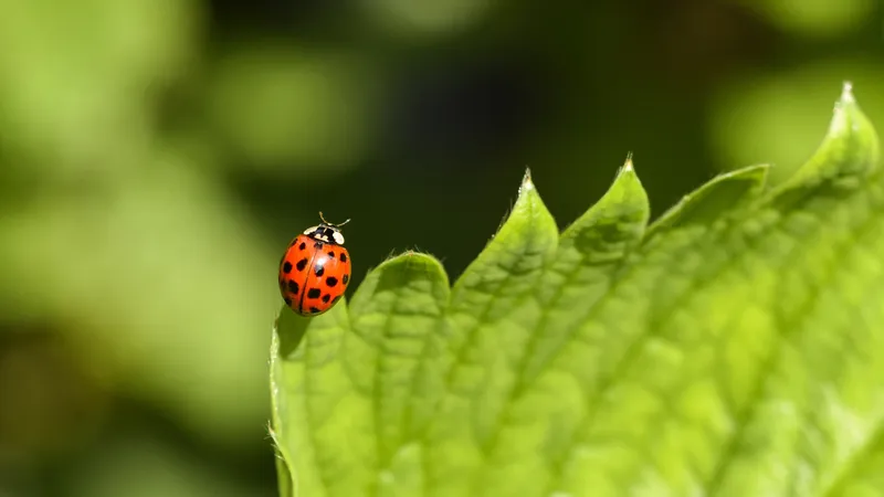 Когда лучше молчать, а когда действовать: гороскоп на 26 апреля